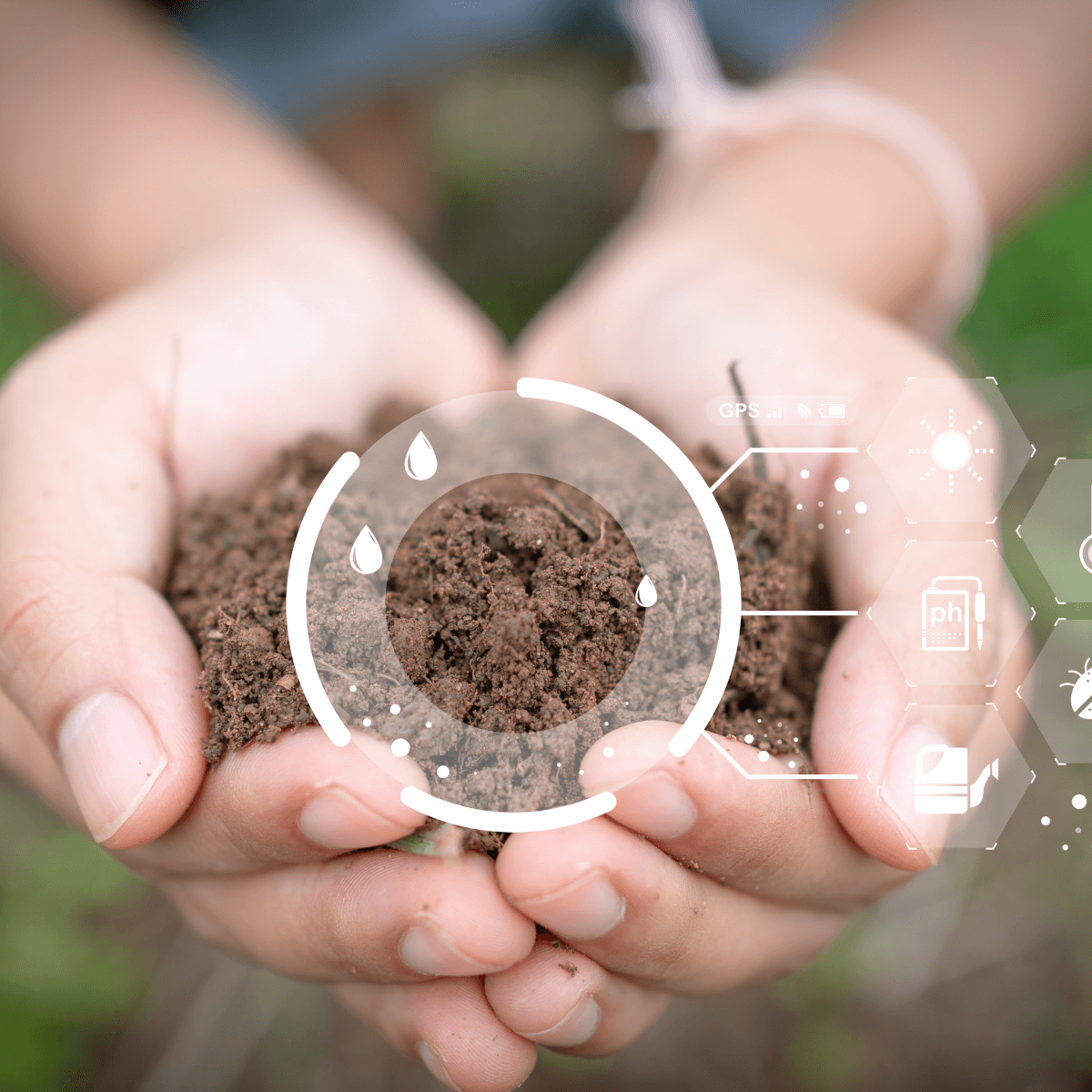 BioPak PLUS soil injection treatment to support stressed trees and plants in Milwaukee.