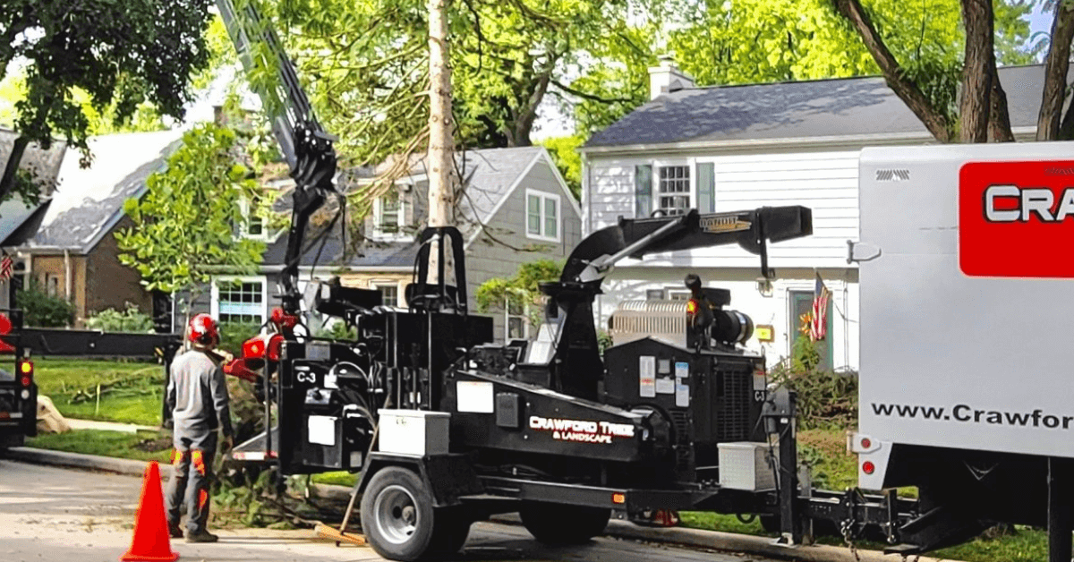 Tree removal permit requirements in Milwaukee and Wauwatosa, WI