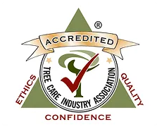 Arborist logos