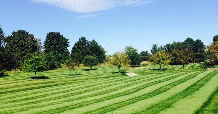 Milwaukee lawn fertilization tips for greener grass