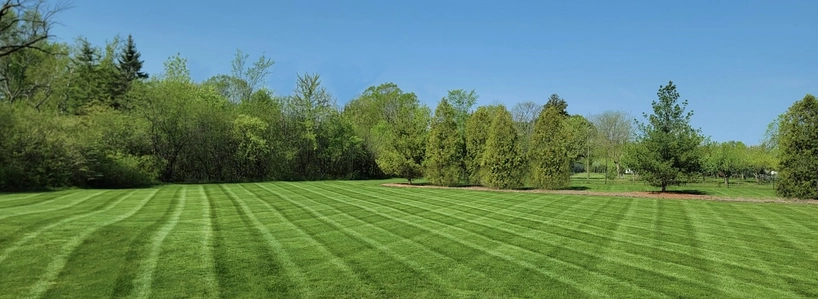 Lawn Mowing Service & Lawn Care in Greater Milwaukee, WI