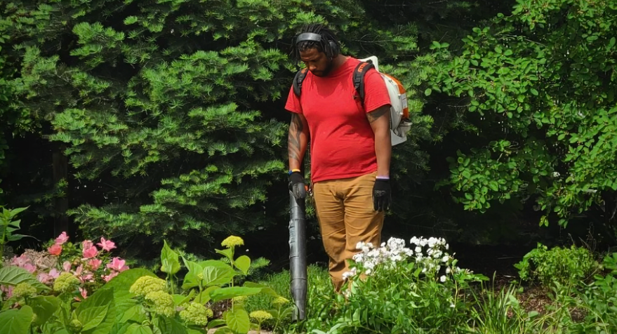 Arborist planting a healthy young tree in a residential Milwaukee backyard, showing proper planting depth and soil preparation for long term growth.