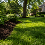 Healthy residential lawn with landscaping in Milwaukee, WI